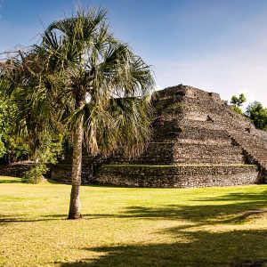 PRIVATE TOUR Chacchoben Mayan Ruins from Costa Maya